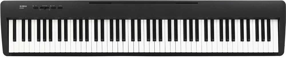 Kawai ES60 88-key Digital Piano - Black : Amazon.in: Musical